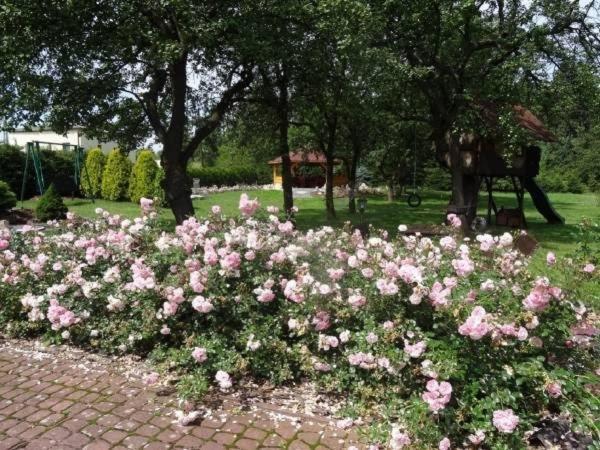 Skalny Apartamenty, Pokoje オグロジェニエツ エクステリア 写真
