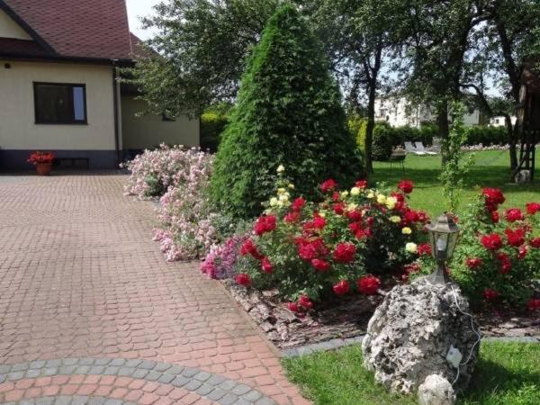 Skalny Apartamenty, Pokoje オグロジェニエツ エクステリア 写真