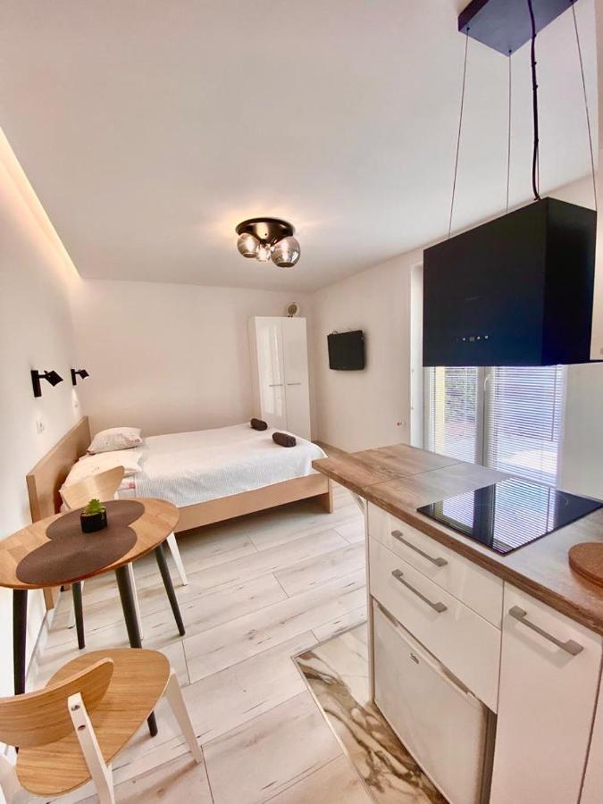 Skalny Apartamenty, Pokoje オグロジェニエツ エクステリア 写真