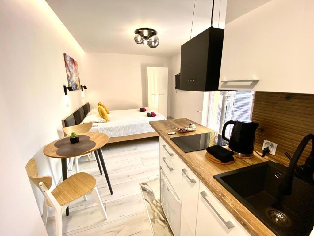 Skalny Apartamenty, Pokoje オグロジェニエツ エクステリア 写真