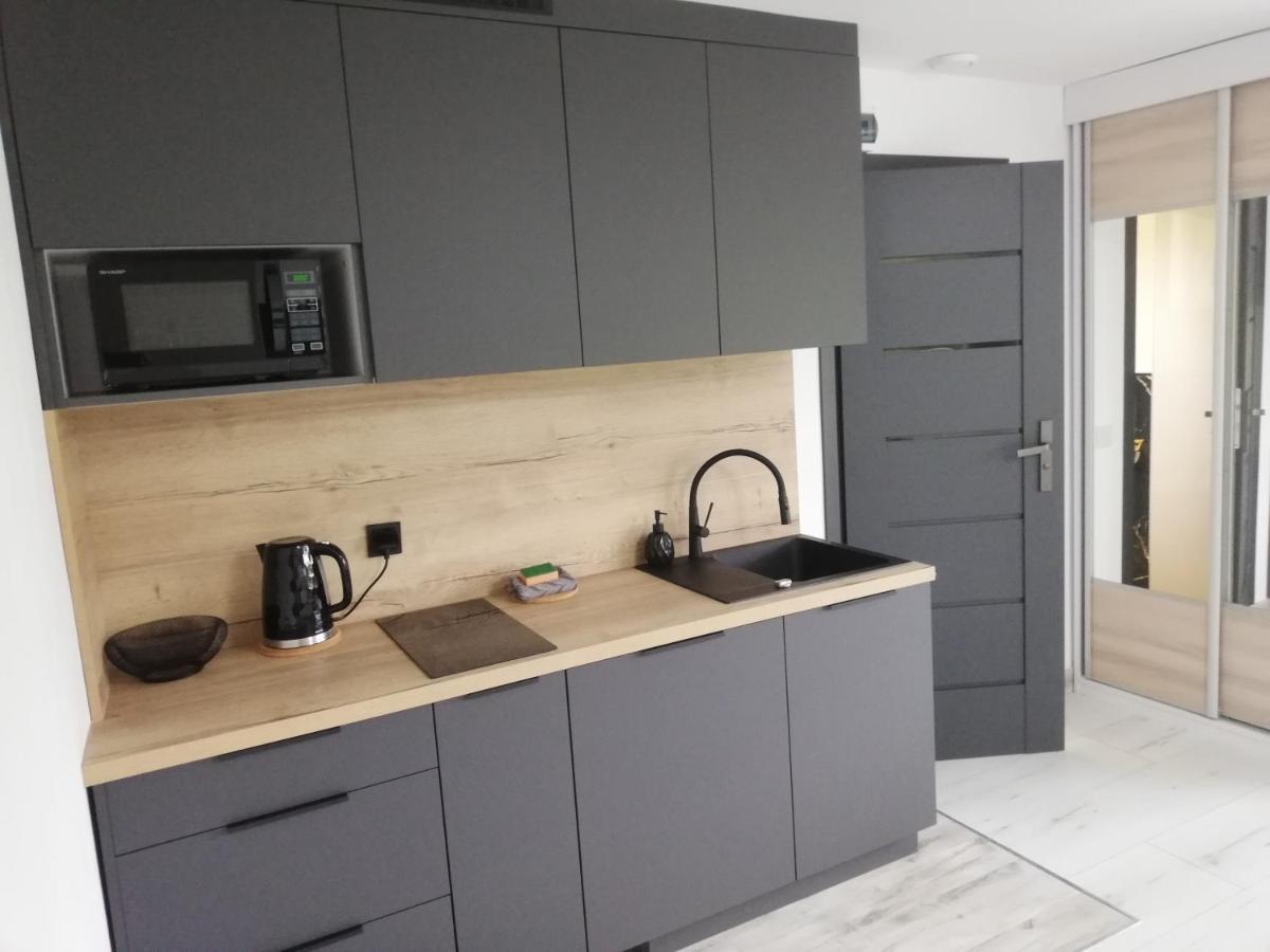 Skalny Apartamenty, Pokoje オグロジェニエツ エクステリア 写真