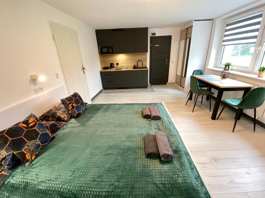 Skalny Apartamenty, Pokoje オグロジェニエツ エクステリア 写真