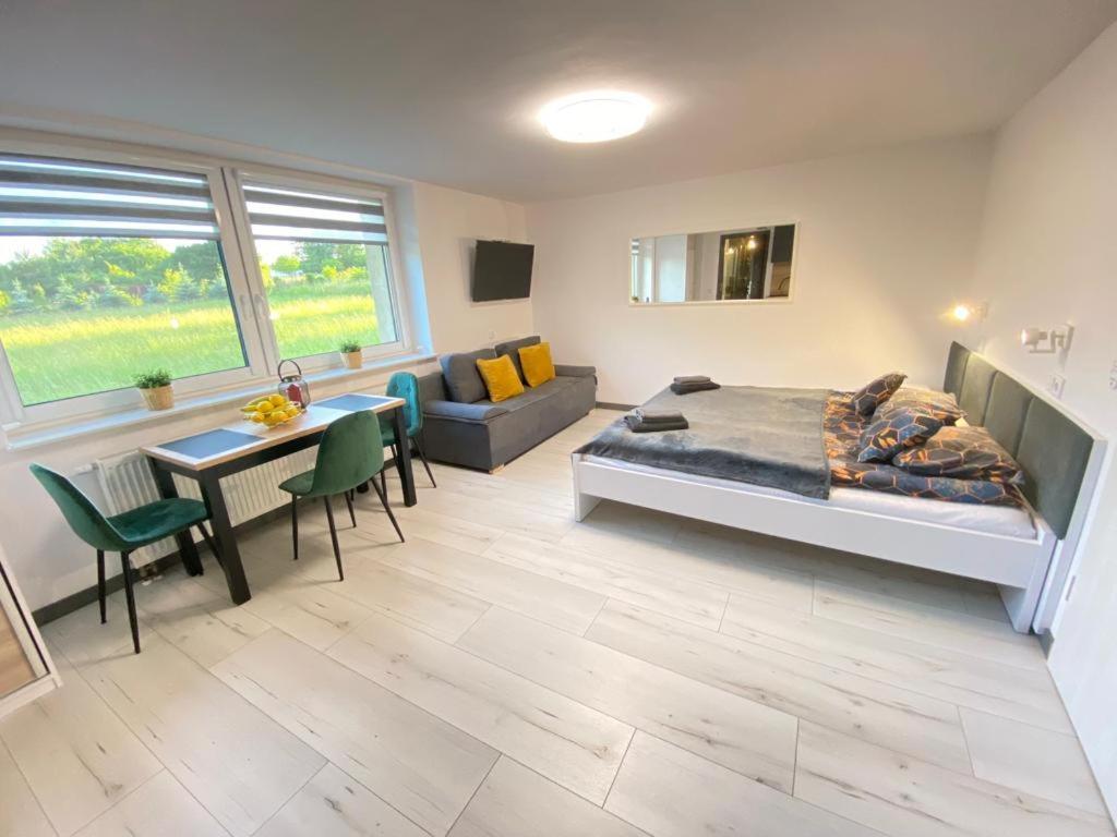 Skalny Apartamenty, Pokoje オグロジェニエツ エクステリア 写真